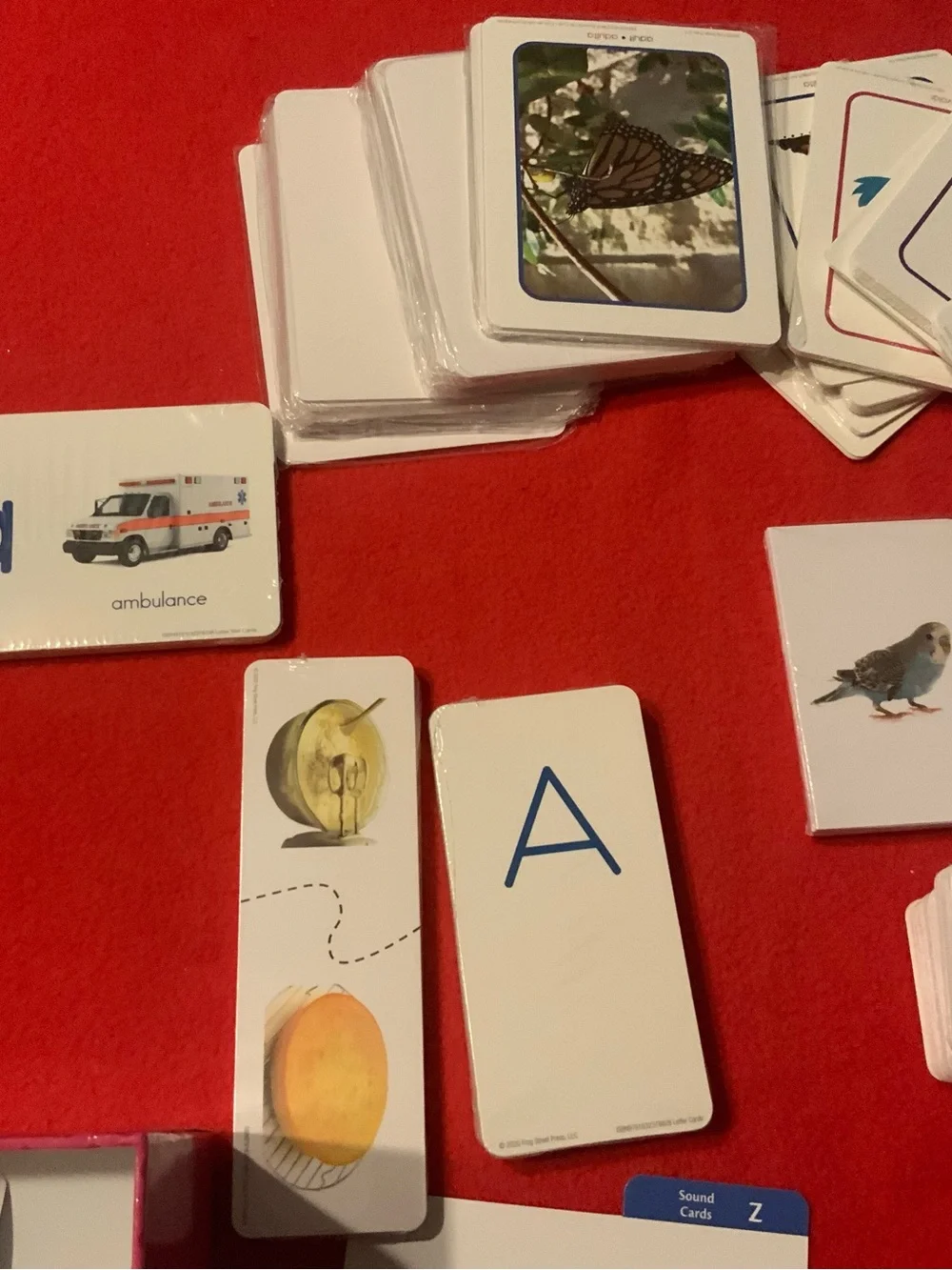FrogStreet Pre K Letters Vocabulary Photo Cards Complete Like  New